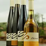 Zsirai Guest house