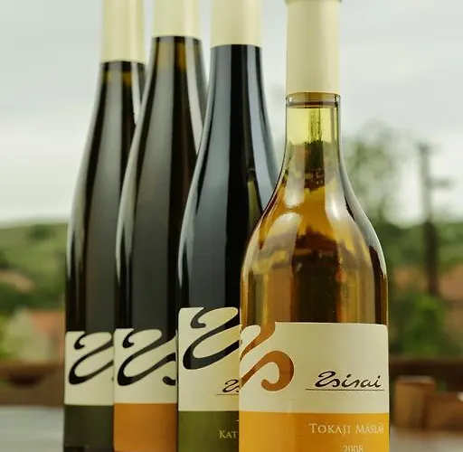 Zsirai بيت ضيافة